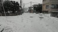 大雪の中、ご利用頂きましてありがとうございました。